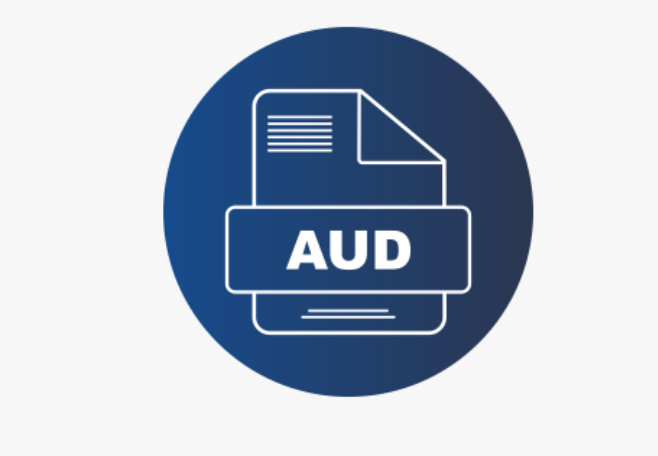 Diversity Audits Gap Analysis Icon